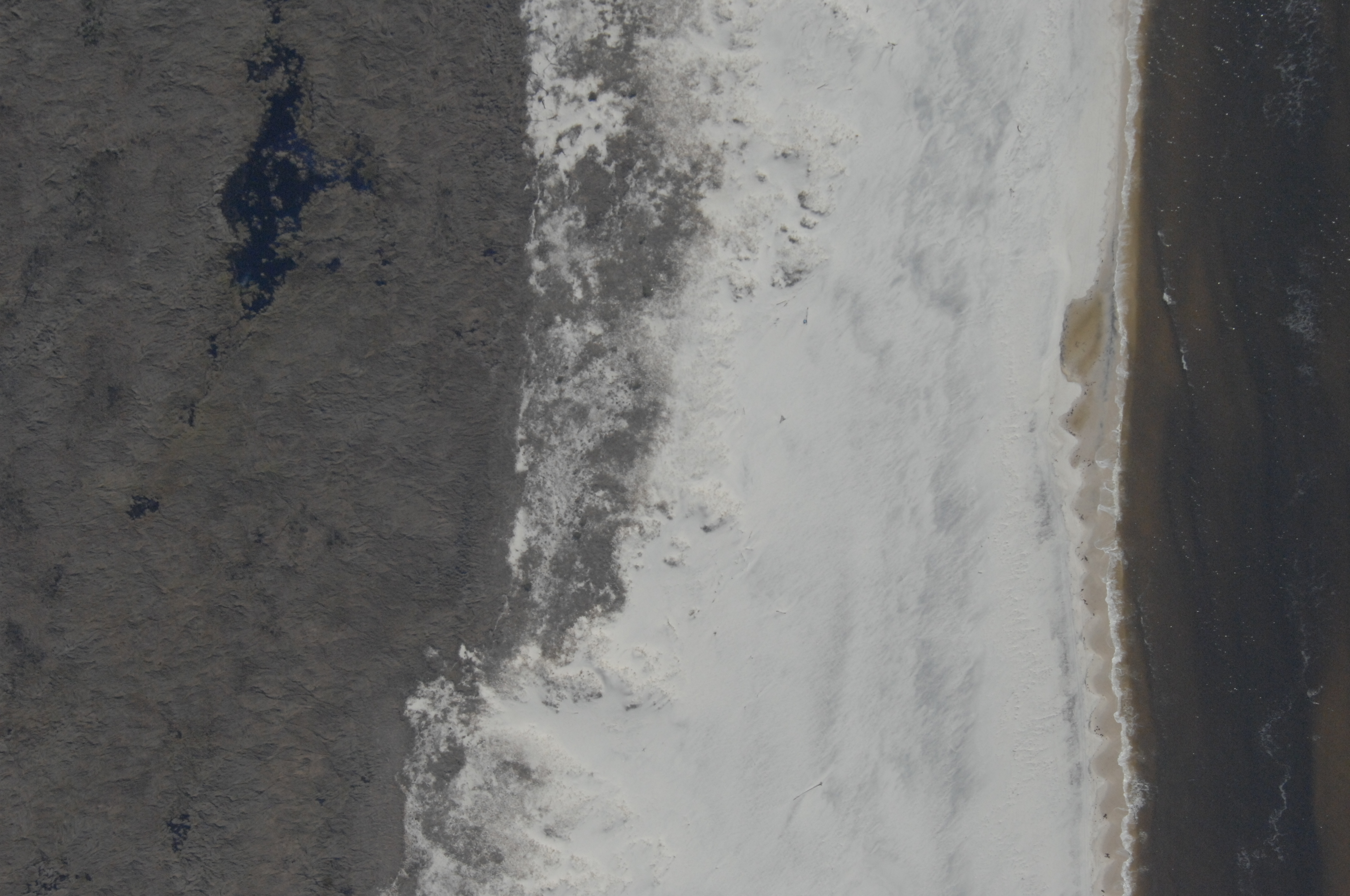 321dsc_0071.jpg
