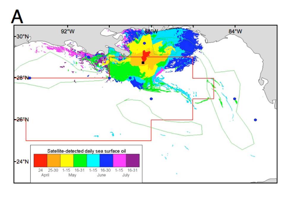 webassets/ExtentofOilSpill.jpg